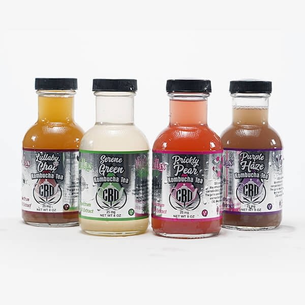 gts kombucha variety pack